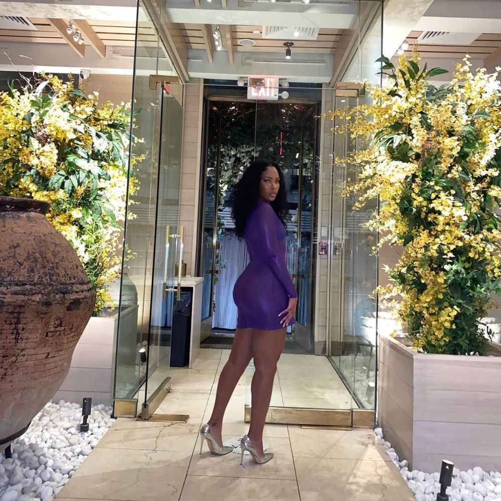 Oseree metallic purple sheer long sleeve mini dress